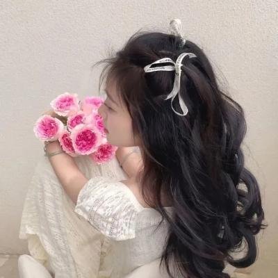 赤裸特工